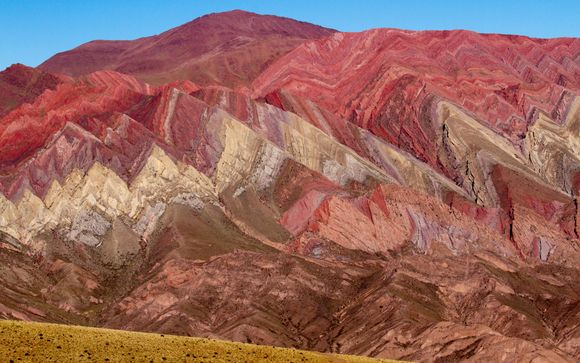 Zoom sur votre programme