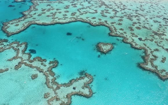 Mettez une option sur l