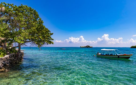 Mettez une option sur l