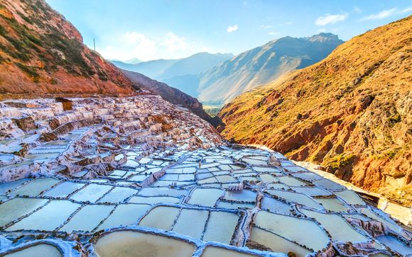 Zoom sur votre programme