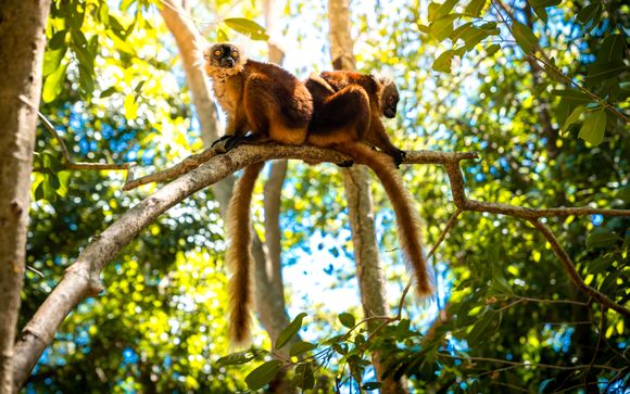 Programme du séjour en 10 nuits