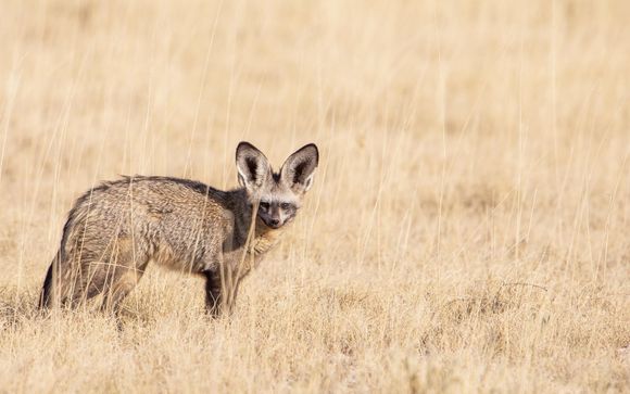 Zoom sur votre programme