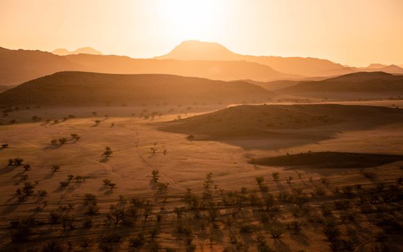 Mettez une option sur l