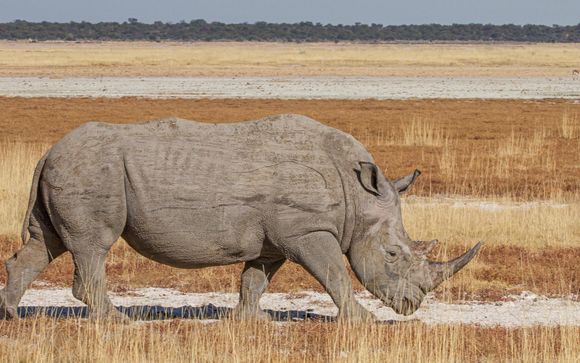 Mettez une option sur l