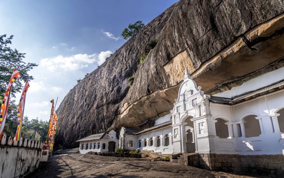 Zoom sur votre programme