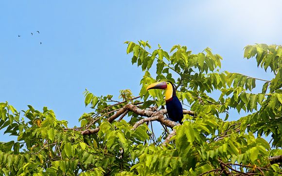 Votre autotour en un clin d'oeil