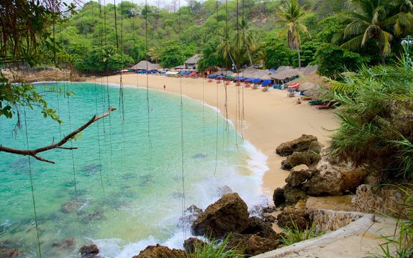 Zoom sur votre programme