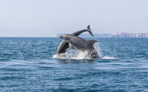 Mettez une option sur l