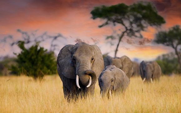 Zoom sur votre programme