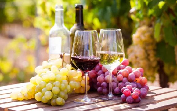 Vos options pour plus d