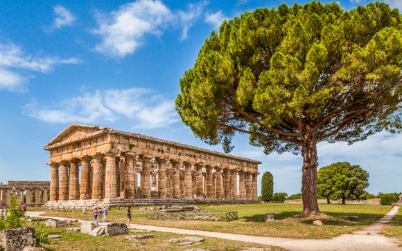 Zoom sur votre programme