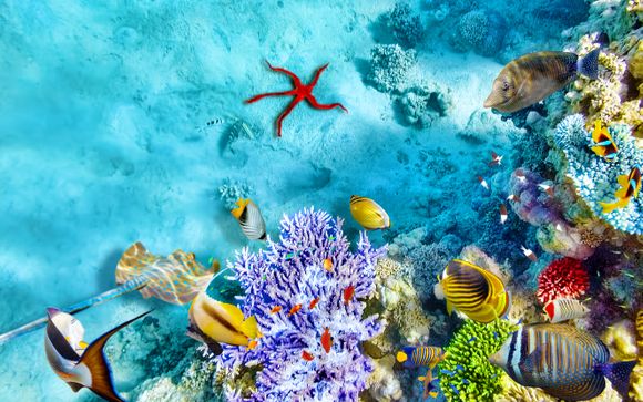 Une excursion en semi sous-marin 