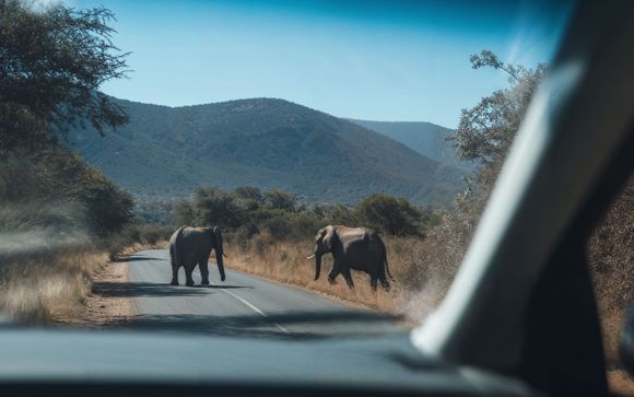 Votre circuit en un clin d'oeil
