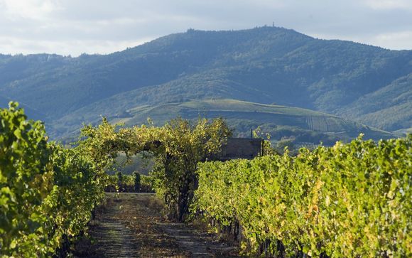 Mettez une option sur l