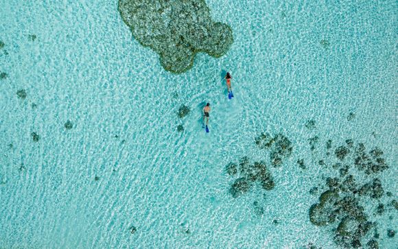 Option 3 : Snorkeling sur le récif de l'hôtel
