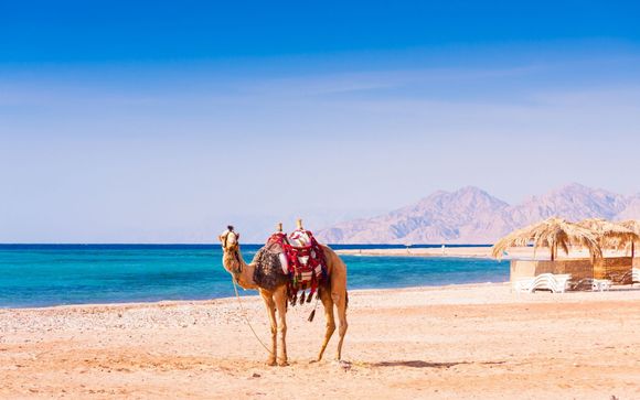 Rendez-vous... à Hurghada