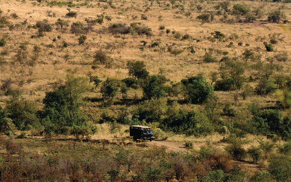 Zoom sur votre safari
