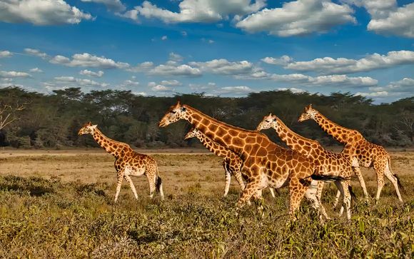 Rendez-vous au Kenya