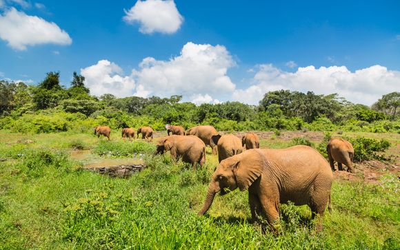 Zoom sur votre programme