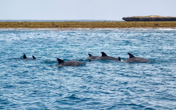 Vos excursions incluses dans le cadre de l