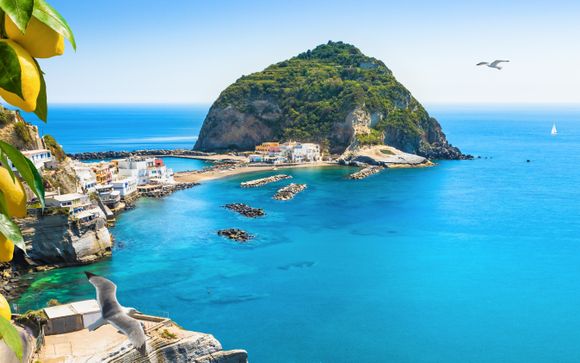 Vos excursions incluses pour plus d