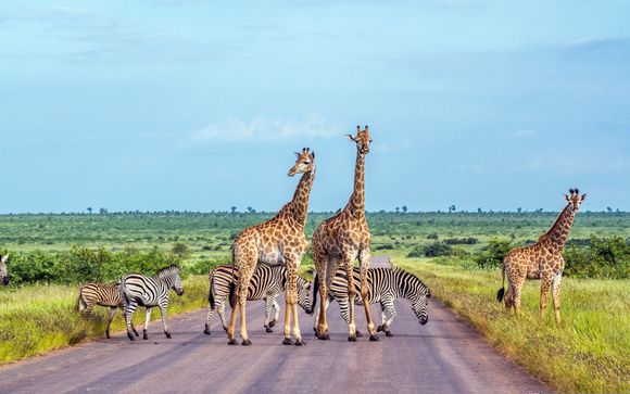 Safari pour les séjours en 8 jours / 7 nuits