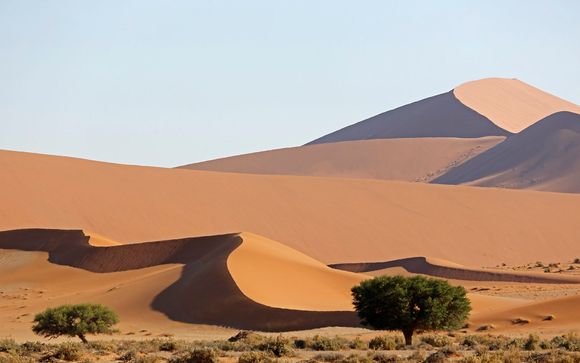 Rendez-vous... en Namibie