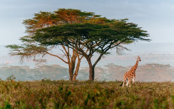 Rendez-vous... en Afrique du Sud et à l'Île Maurice