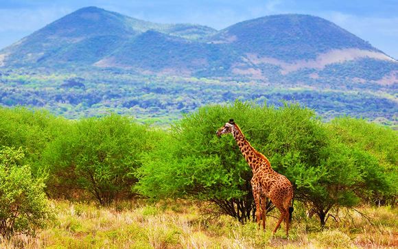 Rendez-vous... au Kenya