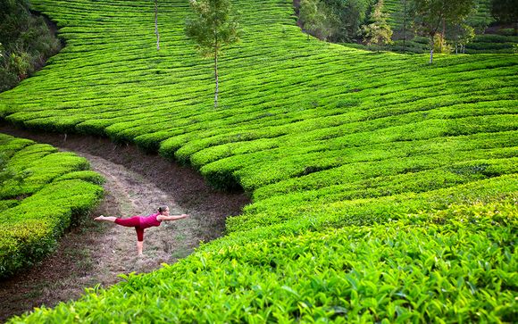 Rendez-vous... en Inde du sud