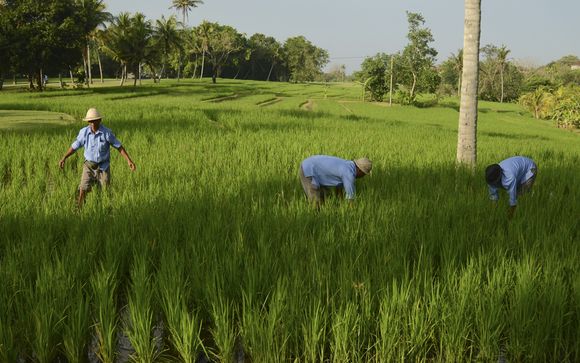 Rendez-vous... à Bali
