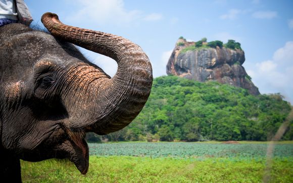 Rendez-vous... au Sri Lanka