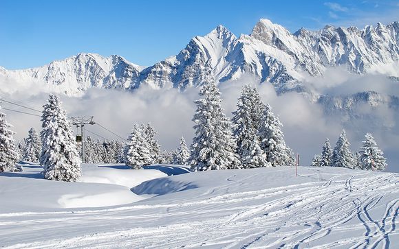 Tout schuss sur les pistes !