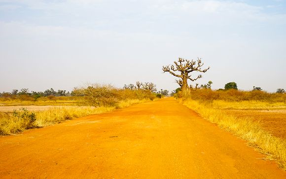 Pack 4 Excursions Panorama & Decouverte du Sénégal