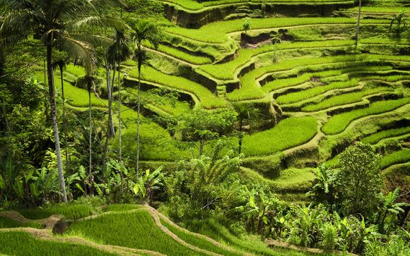 Rendez-vous... à Bali