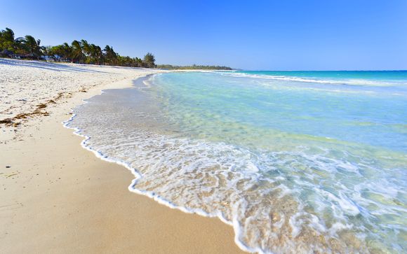 Hôtel Amani Tiwi Beach Resort 5* et safari