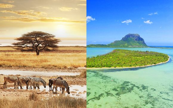 Combiné circuit Cape Town, Big 5 et Westin Turtle Bay Maurice