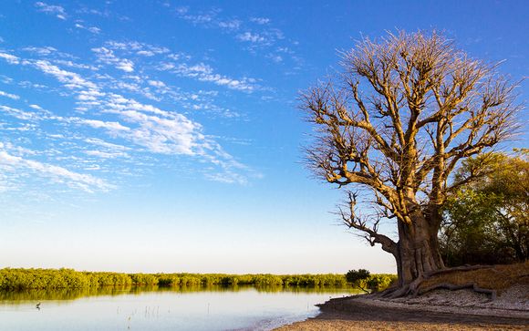 Circuit Les Mangroves du Sénégal