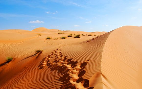 Vos excursions pour plus d'évasion
