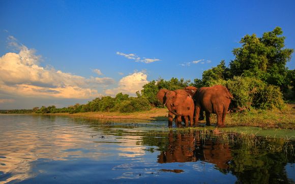 Royal Kruger Lodge 4*