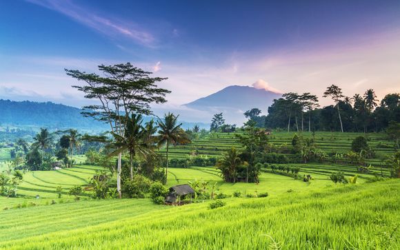 Rendez-vous... à Bali