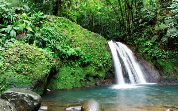 Rendez-vous... en Martinique