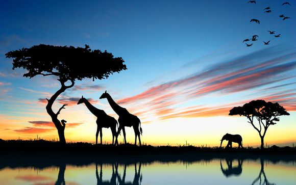 Rendez-vous... au Kenya