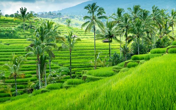 Rendez-vous... à Bali