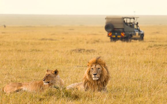 Votre Safari pour plus d