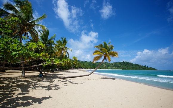 Rendez-vous... à Madagascar