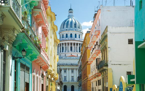 Poussez les portes de votre Casa Particular Supérieure à La Havane 