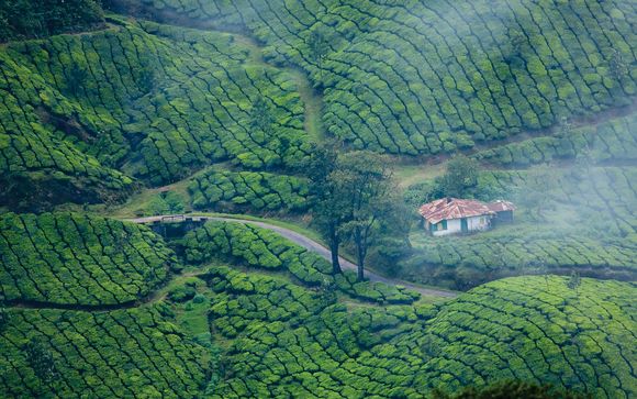 Votre pré-extension au Kerala
