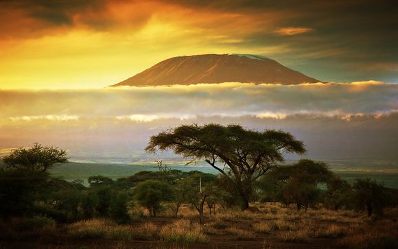Rendez-vous... au Kenya