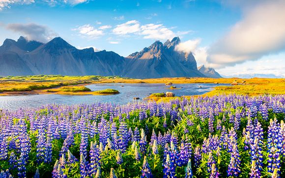 Rendez-vous... en Islande